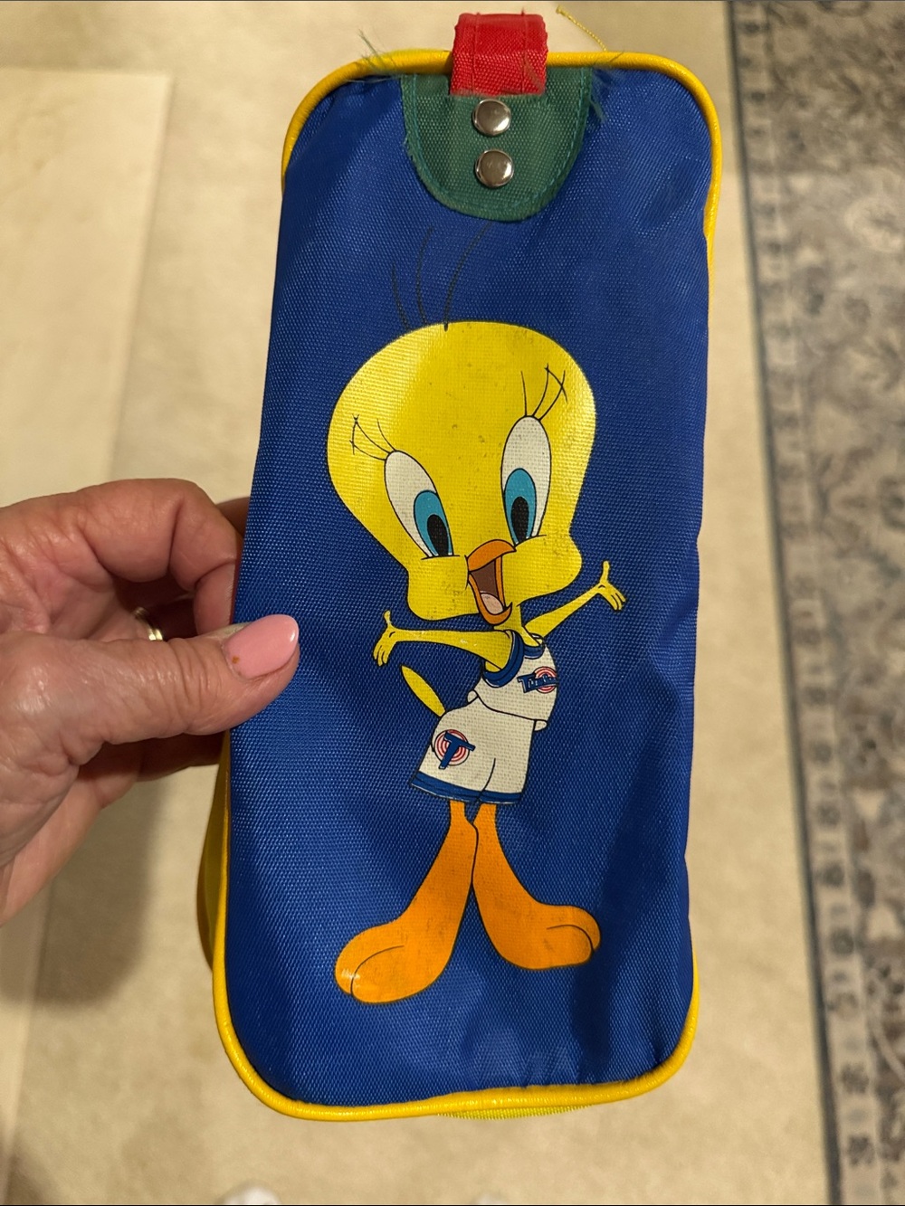 Warner Bros. Tweety Bird Space Jam Zippered Case